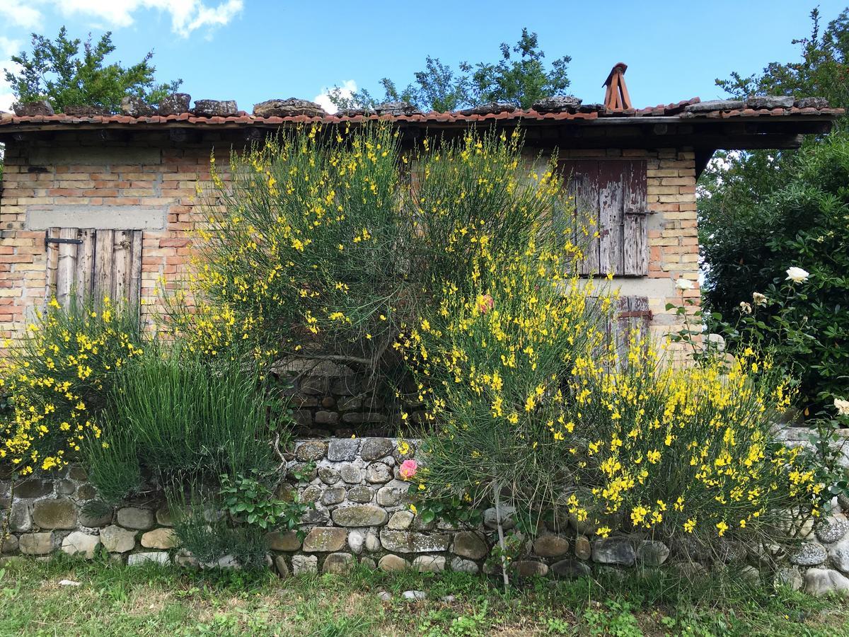 Pizzicalaluna Pianoro Exterior foto
